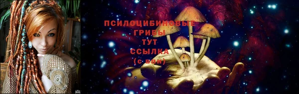 прущая мука Лиски