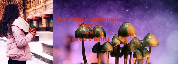 ешки Липки