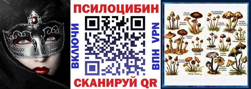 Псилоцибиновые грибы Psilocybe  Подпорожье 