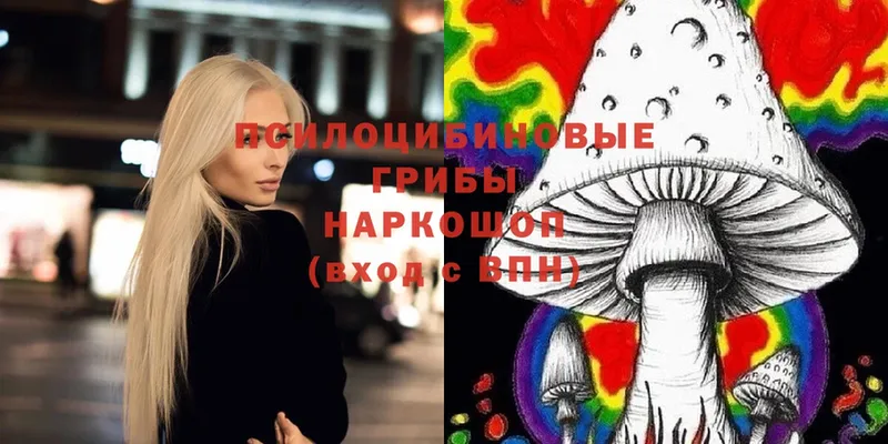 Псилоцибиновые грибы Psilocybe  Подпорожье 